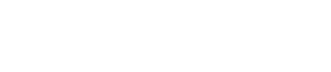 NL PLUS LOGO